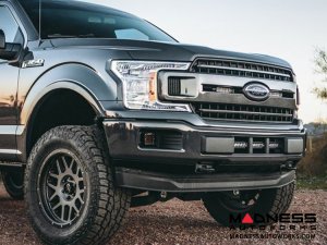 Ford F-150 Super Duty Fog Light Mount w/o 2D-Series Lights